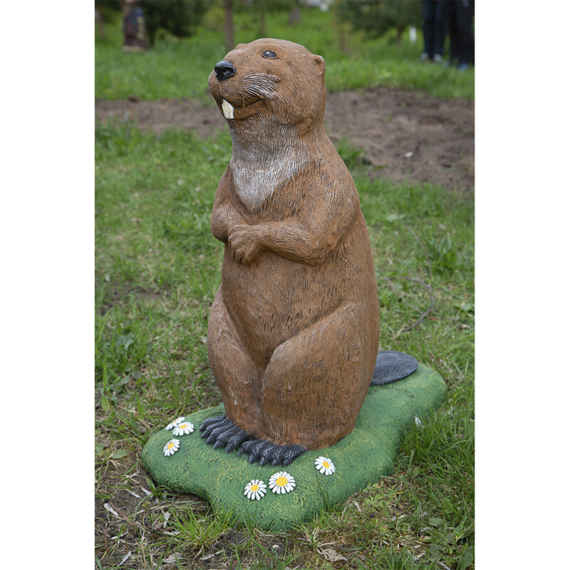 Бобёр большой