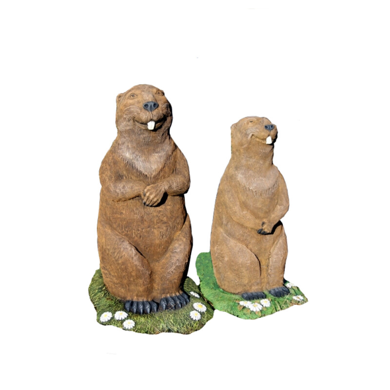 Бобёр маленький